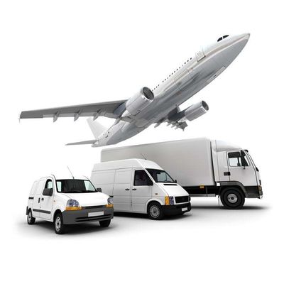 DDP DDU EXW CIF FOB Food Import Shipping From Amica To China
