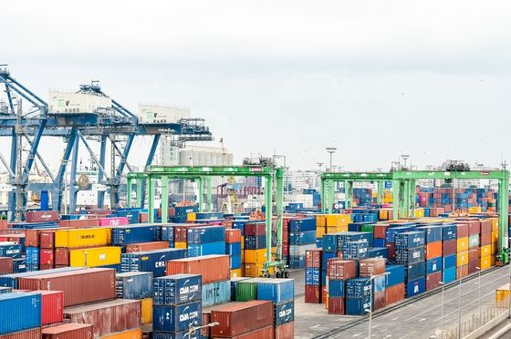 24/7 Cross Border International E-Commerce Logistics Service With All Types Of Packaging
