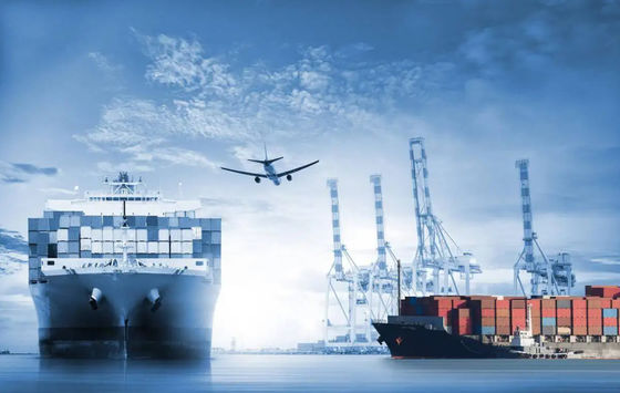 Customized LCL FCL Container Shipping From China To American
