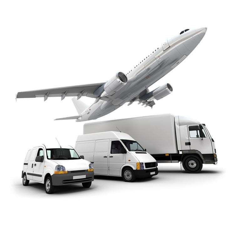DDP DDU EXW CIF FOB Food Import Shipping From Amica To China